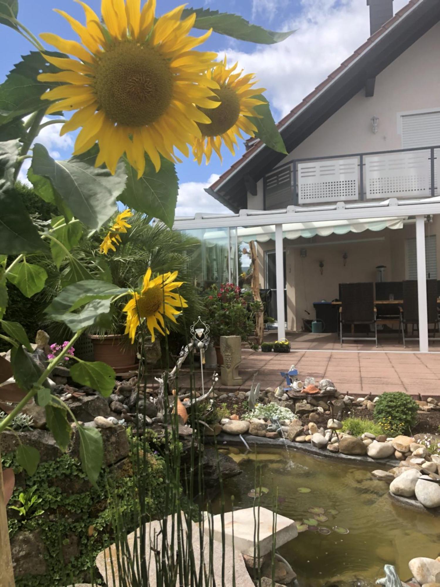 Ferienwohnung Am Schoosberg, Niederkirchen Bei Deidesheim 외부 사진